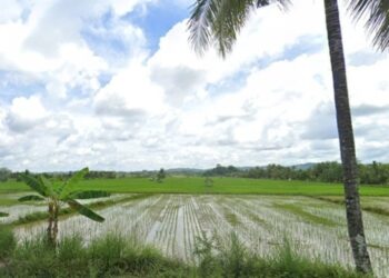 Bupati Kukar Dorong Regenerasi Pertanian dengan Menyasar Anak Muda