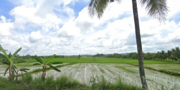 Bupati Kukar Dorong Regenerasi Pertanian dengan Menyasar Anak Muda
