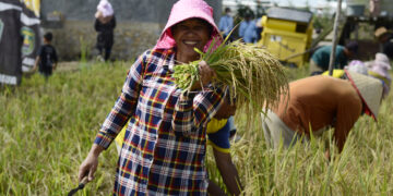 Kutim Bangun Lumbung Desa dan Sediakan Truk Distribusi untuk Pastikan Ketahanan Pangan di Pelosok