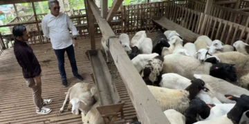 Pemkab Kutim Belajar Peternakan Modern di Cipta Visi Farm Magelang