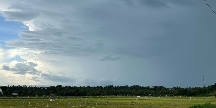 Marangkayu Terpilih dalam Program Brigade Pangan Nasional, Harapan Baru untuk Petani