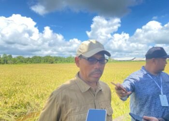 Distanak Kukar Gelontorkan Rp200 Miliar untuk Dorong Produktivitas Petani dan Peternak