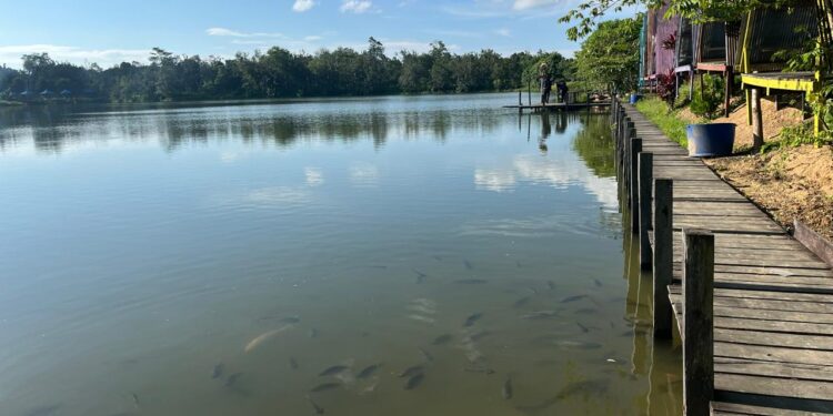 Danau Kumbara Bangkitkan Ekonomi Warga Desa Kota Bangun III