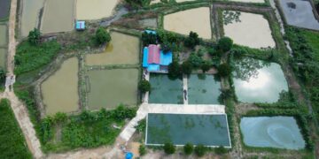 Perubahan Iklim Ancam Ketahanan Pangan, Desa Ponoragan Dorong Inovasi di Sektor Pertanian dan Perikanan