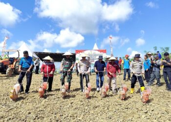 Dukung Swasembada Pangan, Polres Kukar Panen Jagung Bersama Pemkab