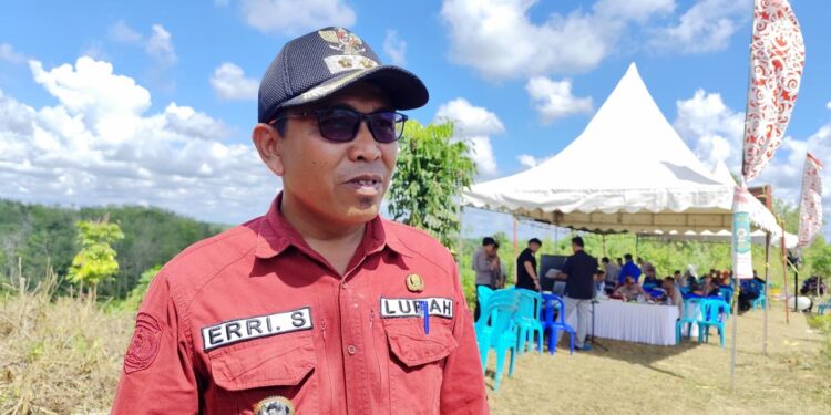 Lahan Terlantar Diubah Jadi Ladang Jagung, Loa Ipuh Mulai Dorong Kemandirian Pangan