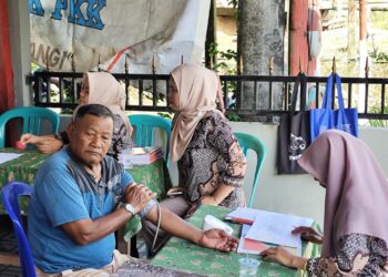 Fungsi Posyandu Diperluas, Kini Jadi Wadah Aspirasi dan Keluhan Warga