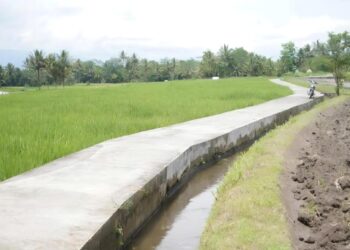 Jalan Baru Antar-Kecamatan Buka Peluang Pertanian Skala Besar di Hulu Kukar