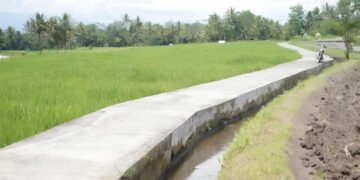 Jalan Baru Antar-Kecamatan Buka Peluang Pertanian Skala Besar di Hulu Kukar