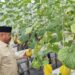 Pertanian Modern Kukar Mulai Bergerak, Greenhouse Jadi Andalan Produksi Hortikultura
