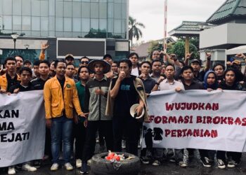 Cadangan Beras Rekor, Tapi Perut Kita Masih Tergantung Impor